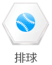 排球
